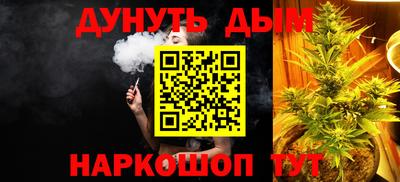 индика Шелехов