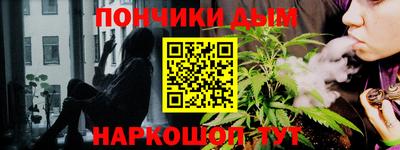 индика Шелехов