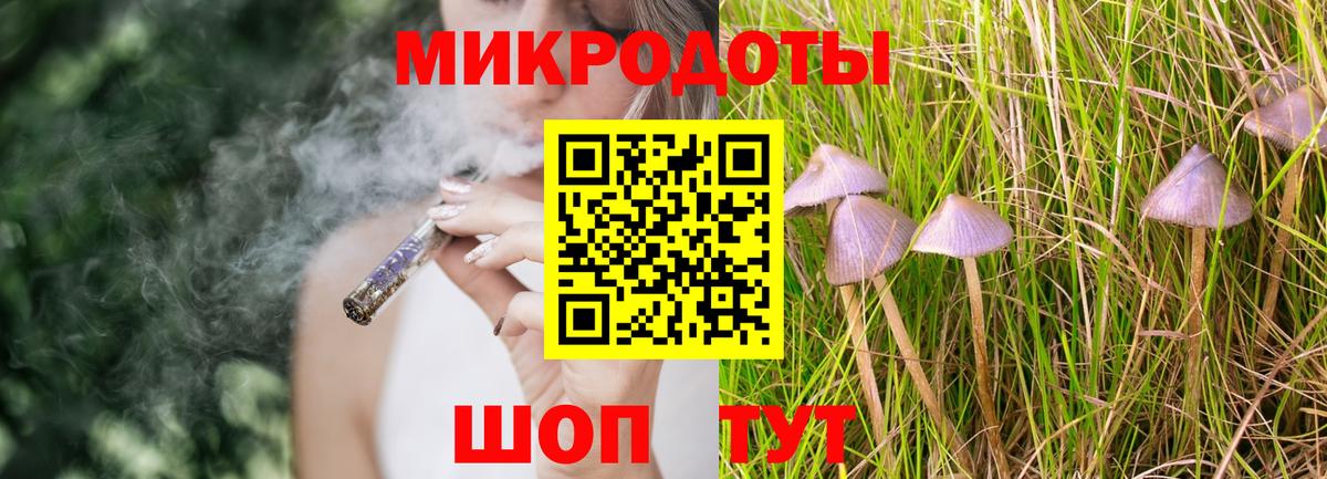 Псилоцибиновые грибы Psilocybine cubensis  Вход с VPN  Междуреченск 